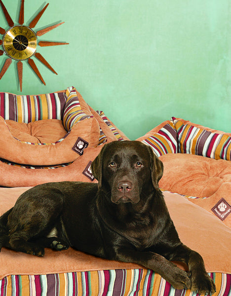 Danish Design Morocco Box Dog Duvet